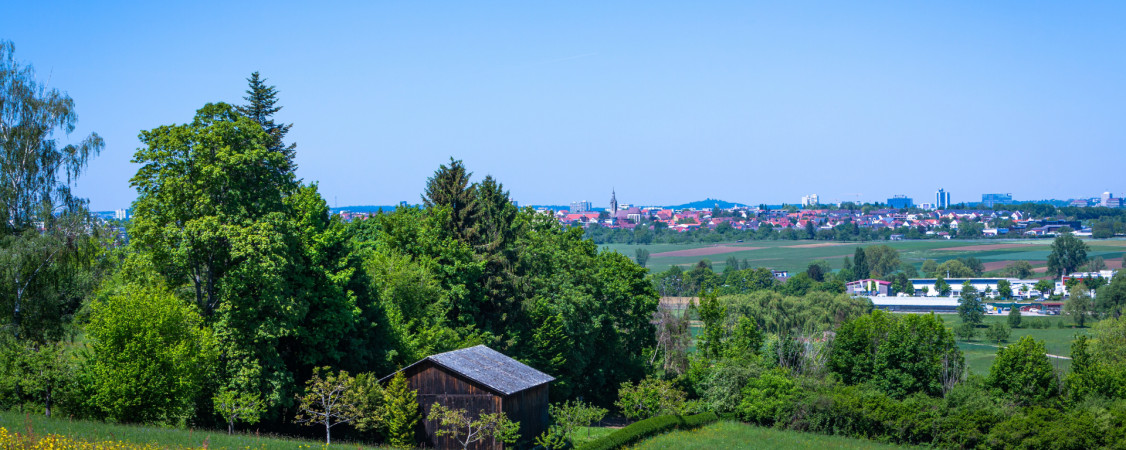 © Adobe Stock © Adobe Stock